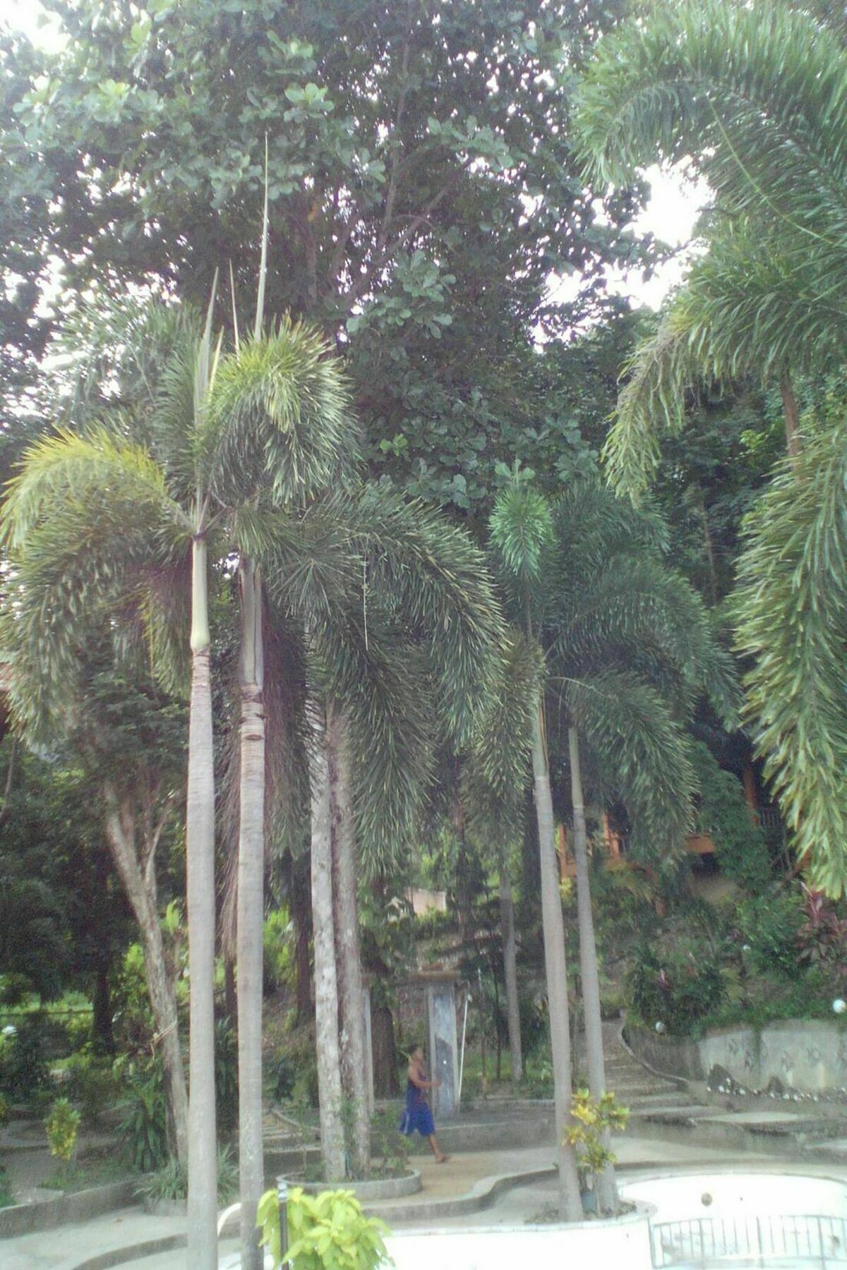 Blanco Hideout Railay - Youth Hostel 18 To 35 Only 外观 照片